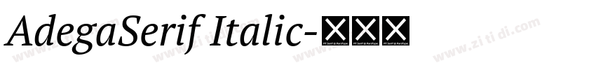 AdegaSerif Italic字体转换